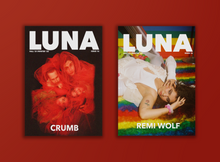 Load image into Gallery viewer, Issue 16 - Remi Wolf Cover (Digital)