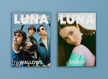 Load image into Gallery viewer, Issue 17 - Wallows Cover (Digital)