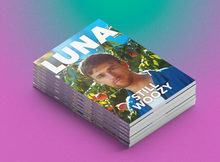 Load image into Gallery viewer, Issue 19 - Digital (Still Woozy Cover)