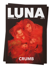 Load image into Gallery viewer, Issue 16 - Crumb Cover (Print)

