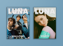 Load image into Gallery viewer, Issue 17 - Wallows Cover (Digital)
